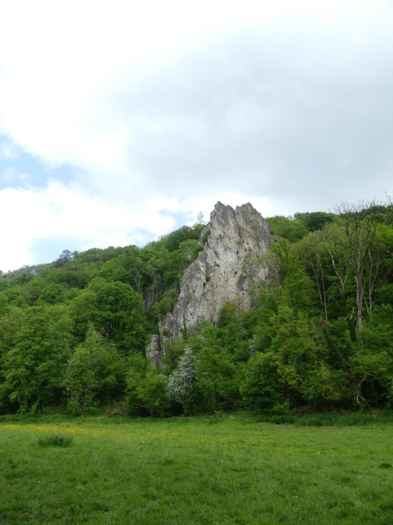 Au Bois Charmant Waulsort Екстериор снимка